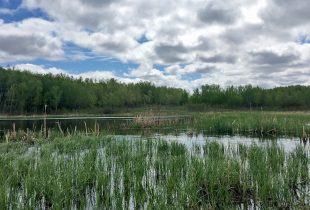 Canards Illimités Canada s’associe à la Sépaq pour cartographier des milieux humides